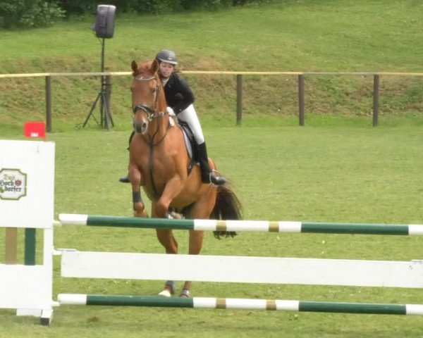 Reitturnier Jettingen 2018