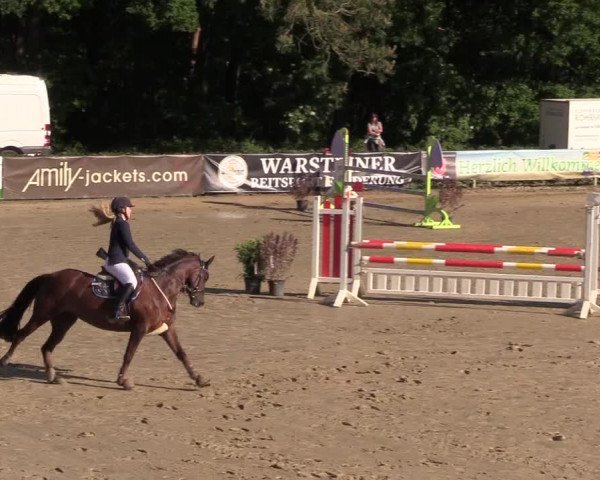 Reitturnier Iserlohn-Kalthof 2018