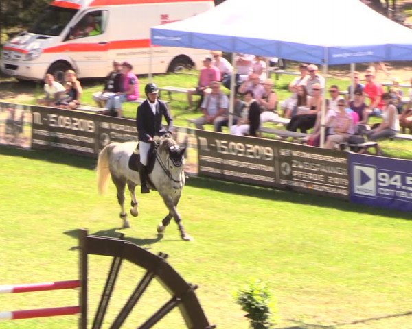 Reitturnier Cottbus-Sielow 2018