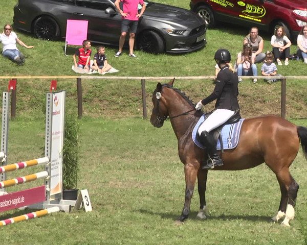 Reitturnier Jettingen 2018