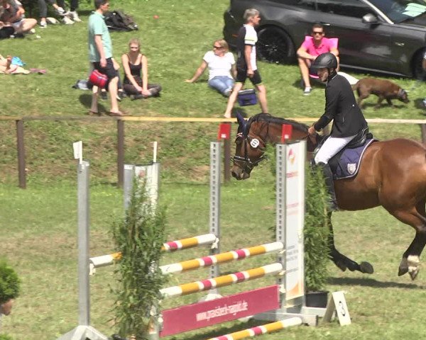 Reitturnier Jettingen 2018