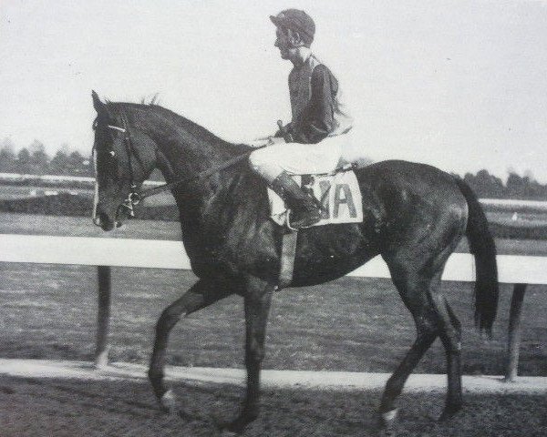 broodmare Castle Forbes xx (Thoroughbred, 1961, from Tulyar xx)