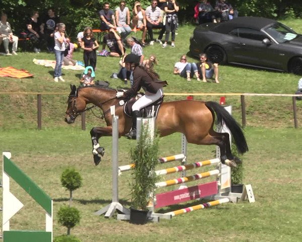 Reitturnier Jettingen 2018