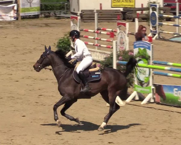 Reitturnier Iserlohn-Kalthof 2018