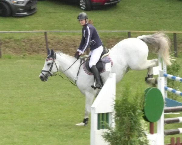Reitturnier Jettingen 2018