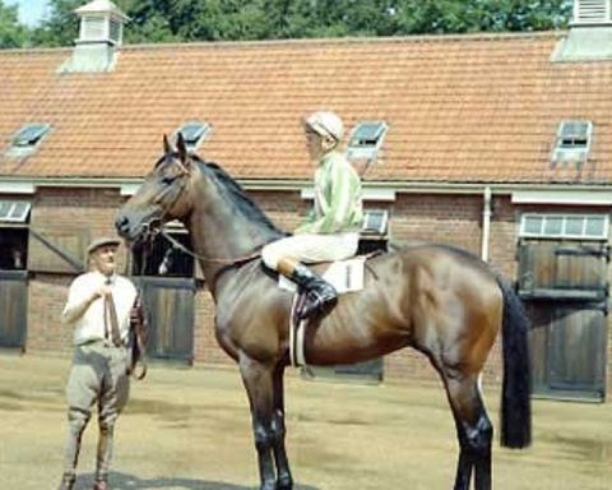 stallion Caliban xx (Thoroughbred, 1966, from Ragusa xx)