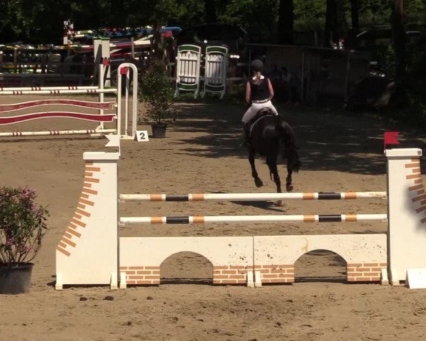 Reitturnier Iserlohn-Kalthof 2018