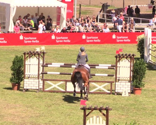 Reitturnier Cottbus-Sielow 2018