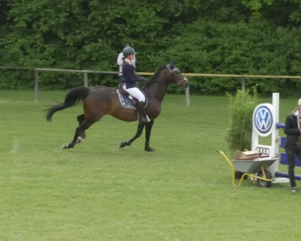 Reitturnier Jettingen 2018