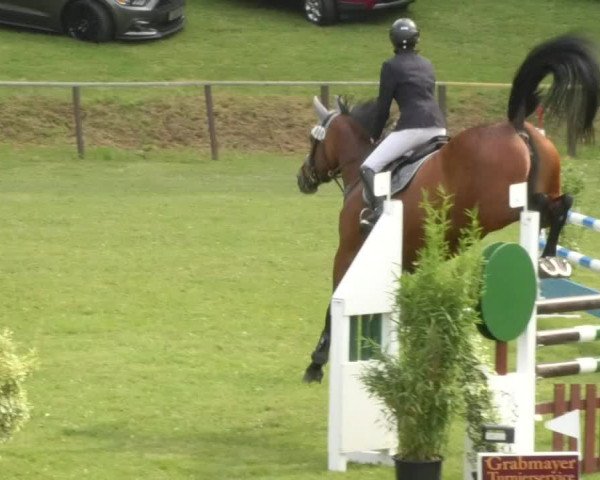 Reitturnier Jettingen 2018