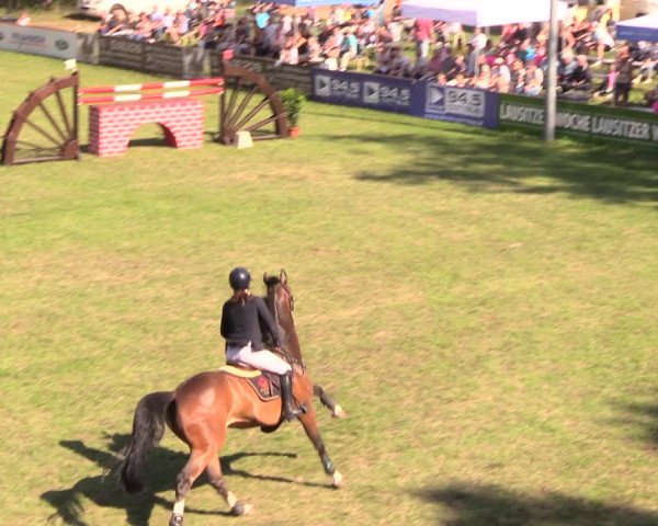 Reitturnier Cottbus-Sielow 2018