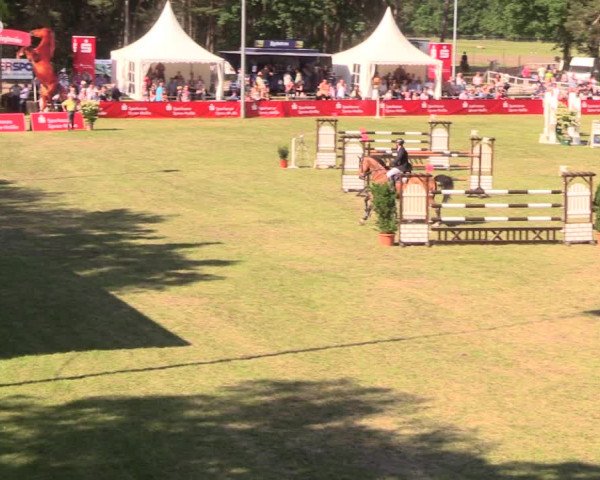 Reitturnier Cottbus-Sielow 2018
