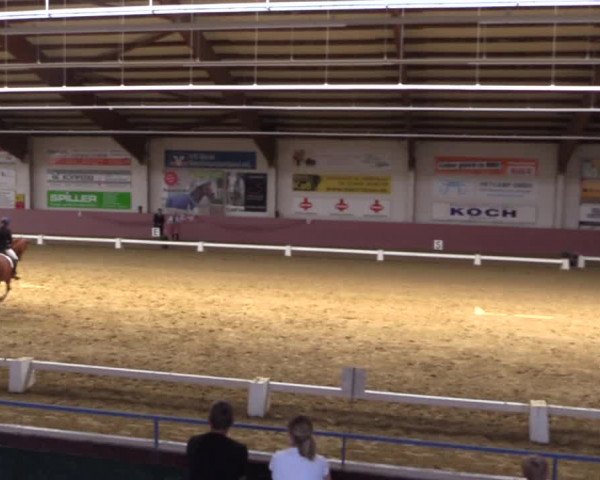 Pfingstturnier Borken 2018
