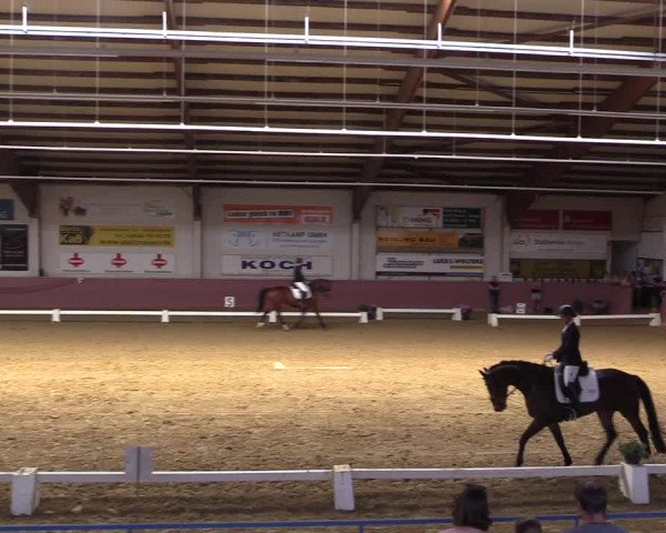 Pfingstturnier Borken 2018