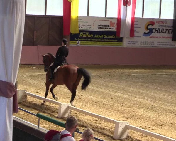 Pfingstturnier Borken 2018