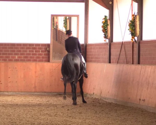 Reitturnier Iserlohn-Kalthof 2018