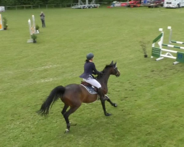 Reitturnier Jettingen 2018