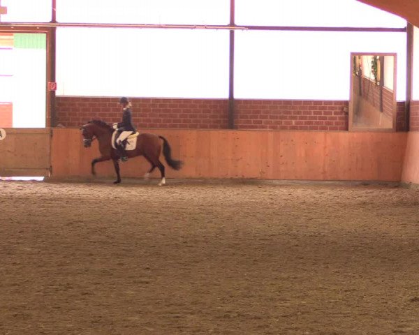 Reitturnier Iserlohn-Kalthof 2018