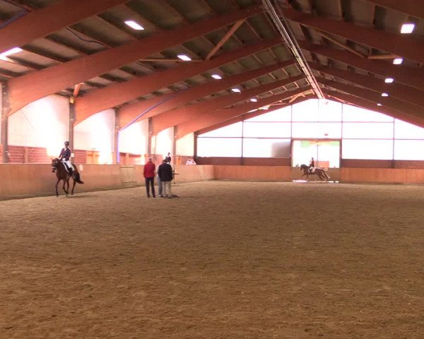 Reitturnier Iserlohn-Kalthof 2018