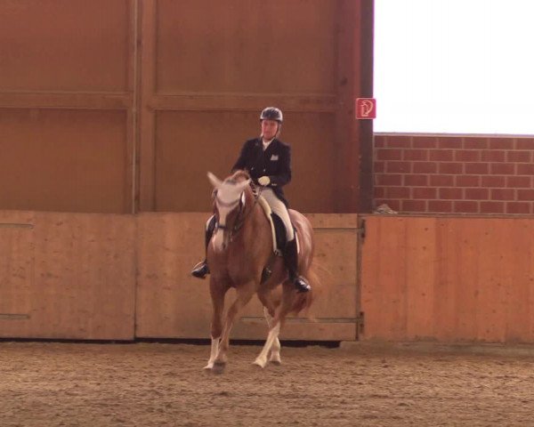 Reitturnier Iserlohn-Kalthof 2018