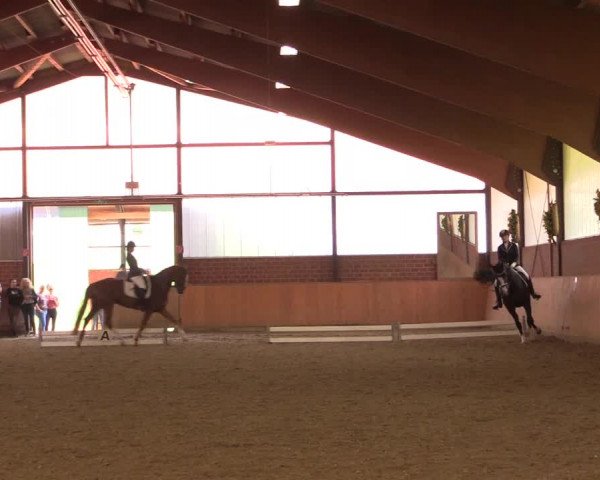 Reitturnier Iserlohn-Kalthof 2018