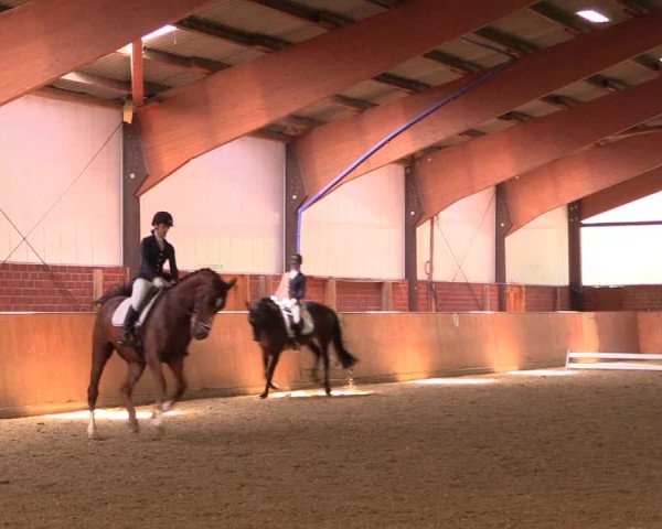 Reitturnier Iserlohn-Kalthof 2018