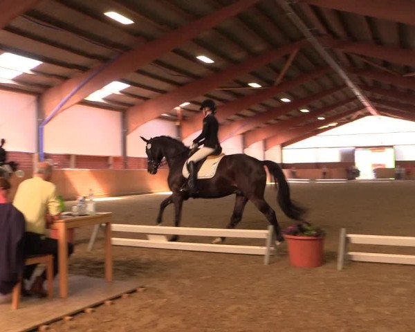 Reitturnier Iserlohn-Kalthof 2018