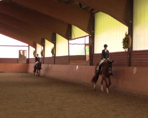 Reitturnier Iserlohn-Kalthof 2018