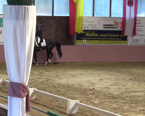 Pfingstturnier Borken 2018