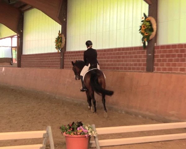 Reitturnier Iserlohn-Kalthof 2018
