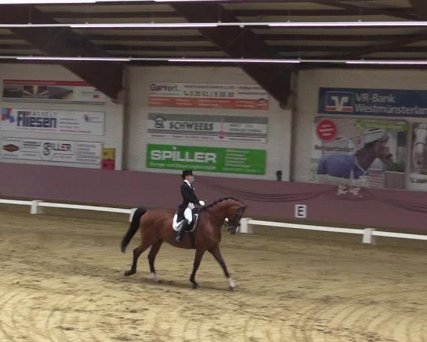 Pfingstturnier Borken 2018