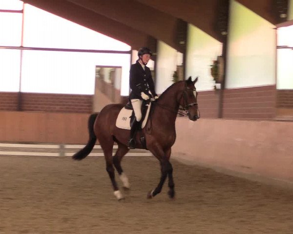 Reitturnier Iserlohn-Kalthof 2018