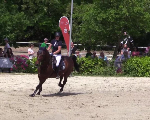 Pfingssturnier Bochum-Nord 2018