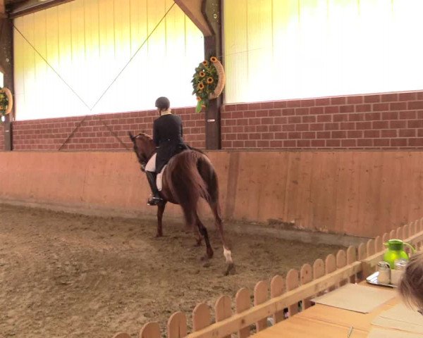 Reitturnier Iserlohn-Kalthof 2018