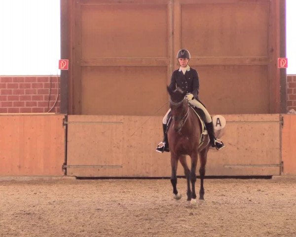 Reitturnier Iserlohn-Kalthof 2018