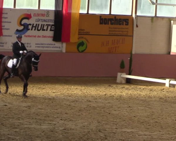 Pfingstturnier Borken 2018