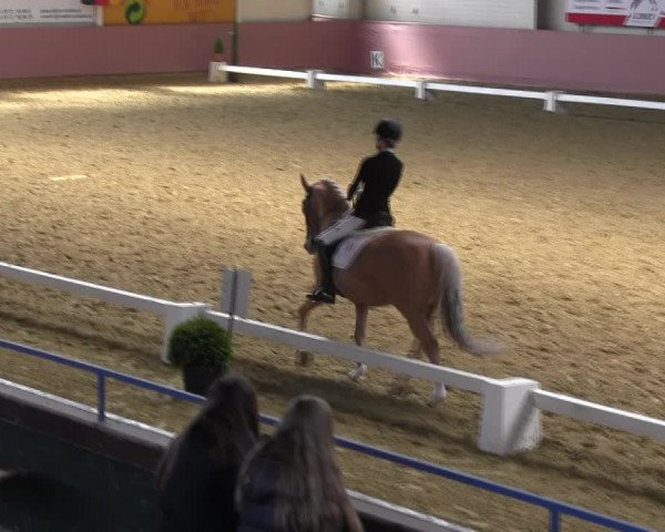 Pfingstturnier Borken 2018