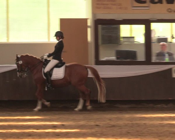 Pfingssturnier Bochum-Nord 2018