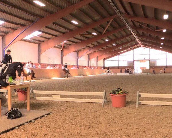 Reitturnier Iserlohn-Kalthof 2018