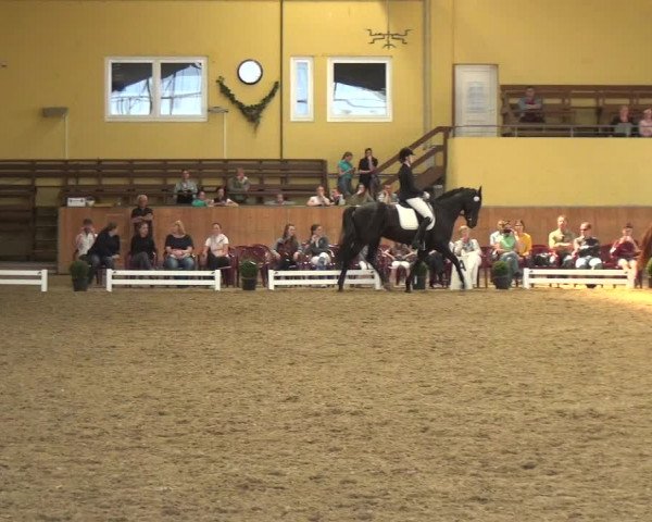 Reitturnier Frechen-Grefrath - Sonnenhof 2018