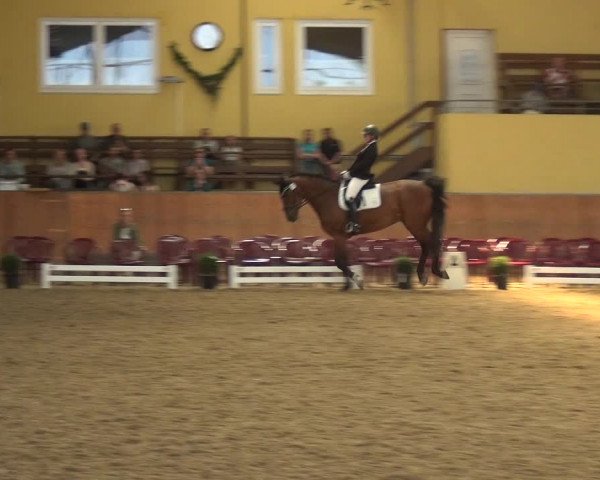 Reitturnier Frechen-Grefrath - Sonnenhof 2018