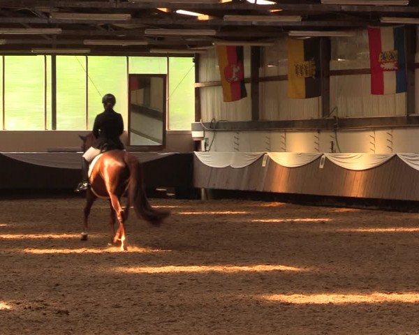 Pfingssturnier Bochum-Nord 2018