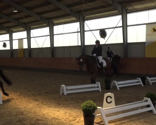 Reitturnier Frechen-Grefrath - Sonnenhof 2018
