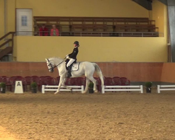 Reitturnier Frechen-Grefrath - Sonnenhof 2018