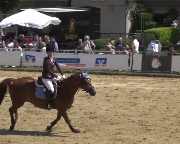 Reitturnier Frechen-Grefrath - Sonnenhof 2018