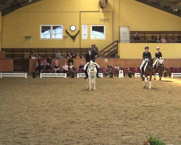 Reitturnier Frechen-Grefrath - Sonnenhof 2018