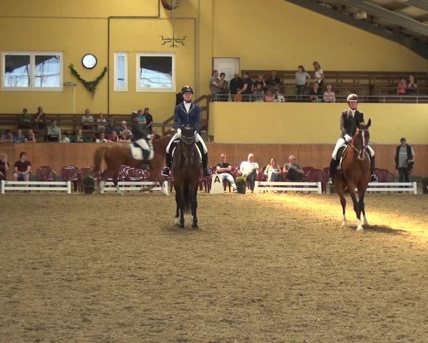 Reitturnier Frechen-Grefrath - Sonnenhof 2018