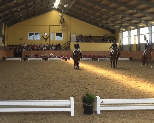 Reitturnier Frechen-Grefrath - Sonnenhof 2018