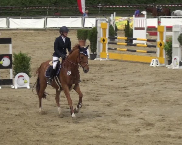Reitturnier Frechen-Grefrath - Sonnenhof 2018