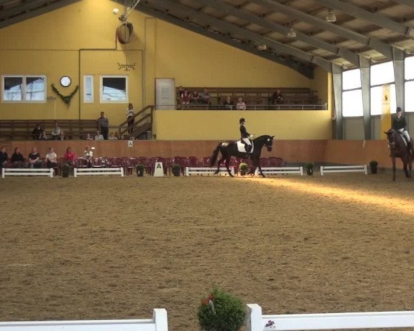 Reitturnier Frechen-Grefrath - Sonnenhof 2018